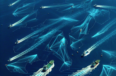 Illustration of L'analyse d'images satellites révèle l'immense échelle de l'industrie de la pêche clandestine