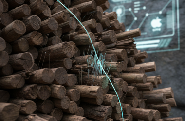 Illustration of Cordon - L'outil qui trouve les aiguilles dans vos meules de logs | Le site de Korben